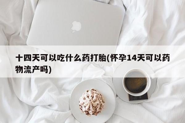 堕胎药货到付款十四天可以吃什么药打胎(怀孕14天可以药物流产吗)